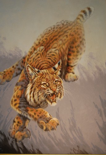 ky wildcat
