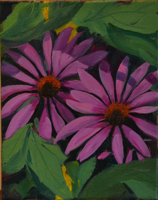 Coneflowers